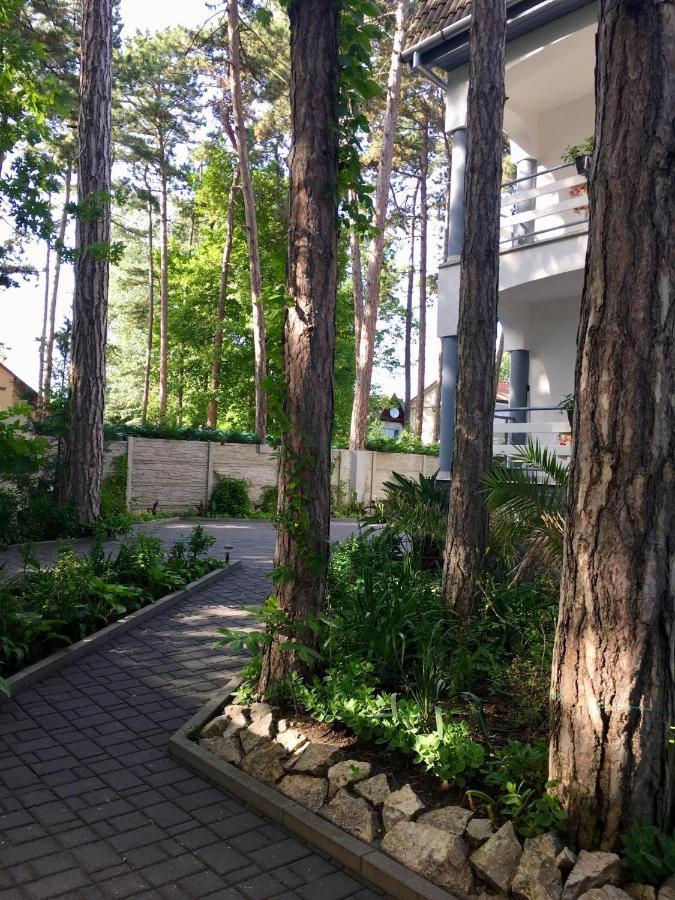 Pearl Home Σίοφοκ Εξωτερικό φωτογραφία